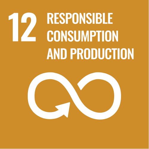 SDG 12: Responsible Consumption and Production